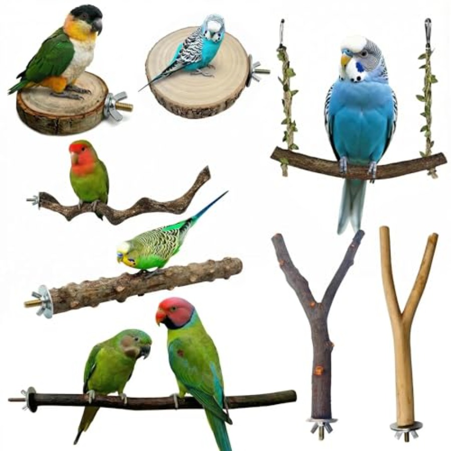 Health & Wellness Rehab - 8PCS natural wood bird perches for