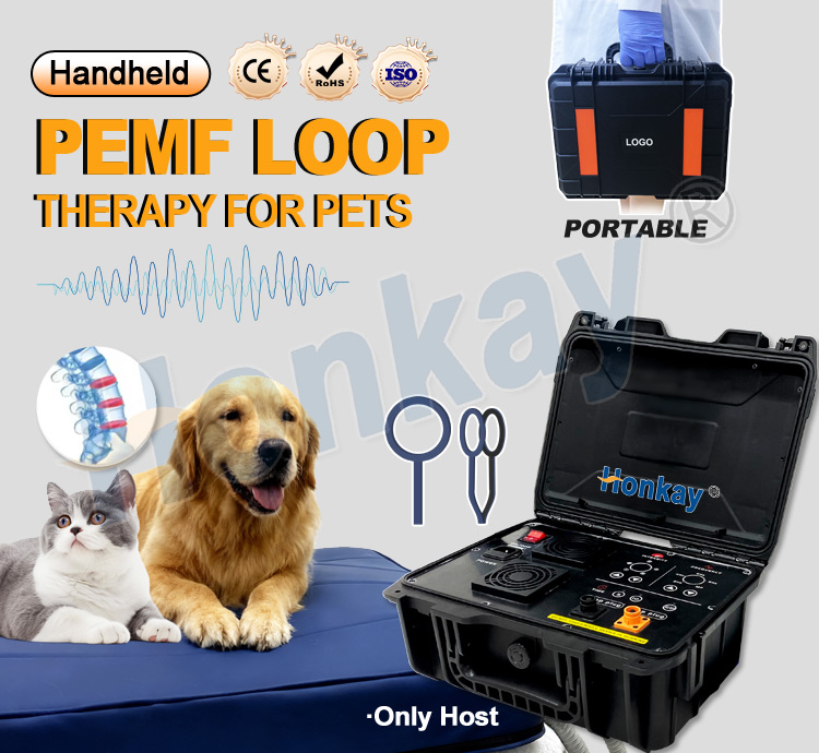 Personal Pet Care PEMF Device  - Health Wellness Usa ulasan dan harga