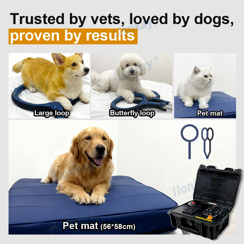 Personal Pet Care PEMF Device  - Health Wellness Usa ulasan dan harga