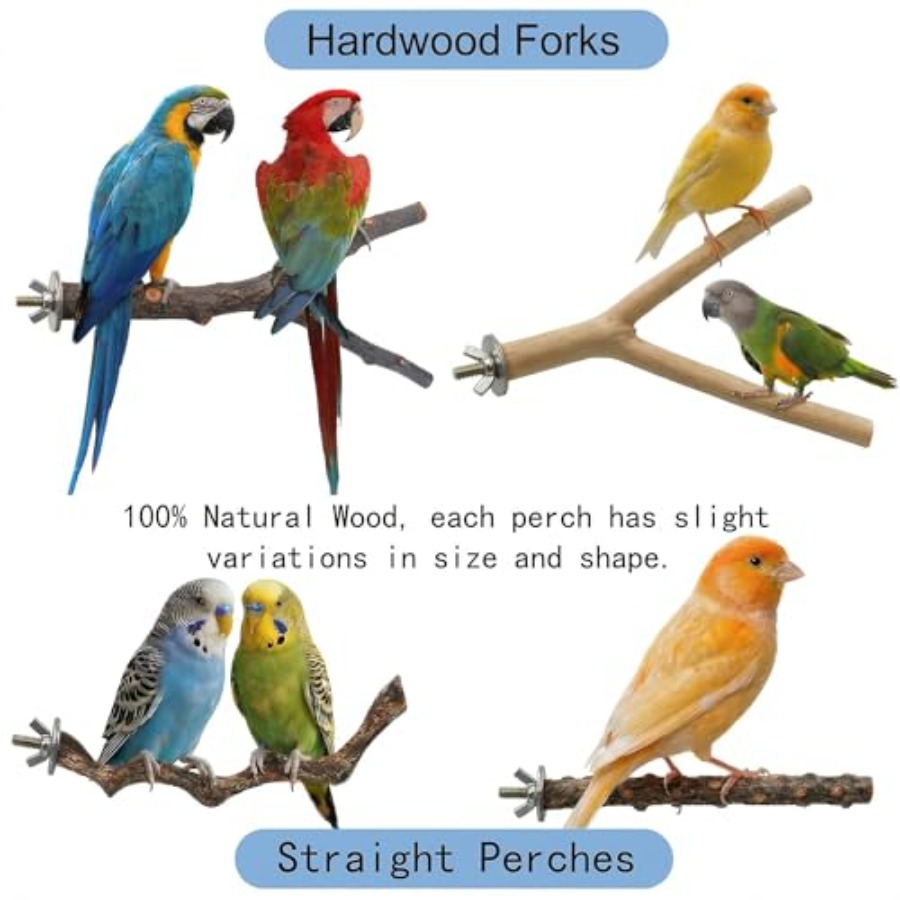 8PCS natural wood bird perches - Health & Wellness Rehab ulasan dan harga